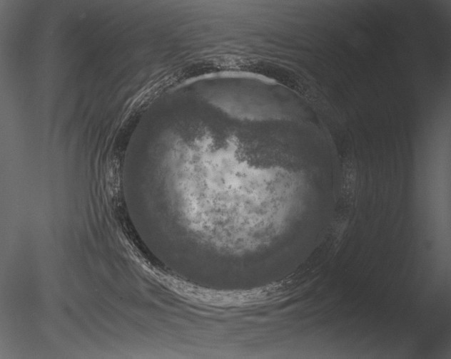 X0000085810043200703161207