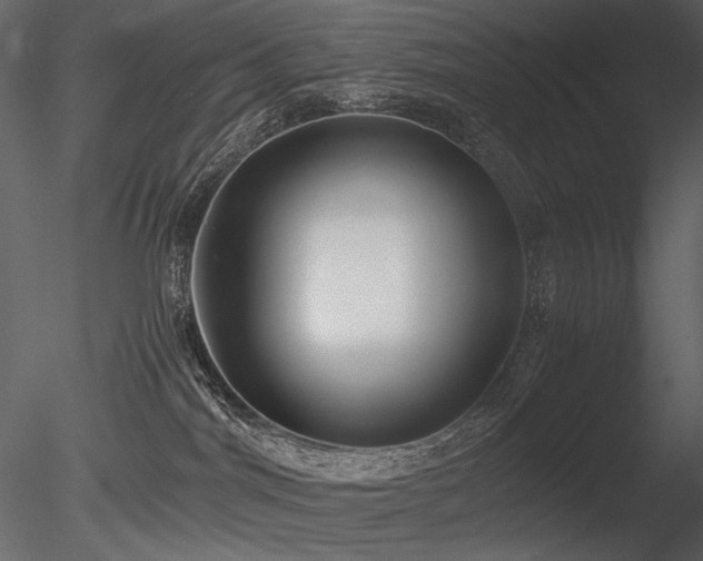 X0000085810044200703161207