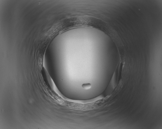 X0000085810045200703161207