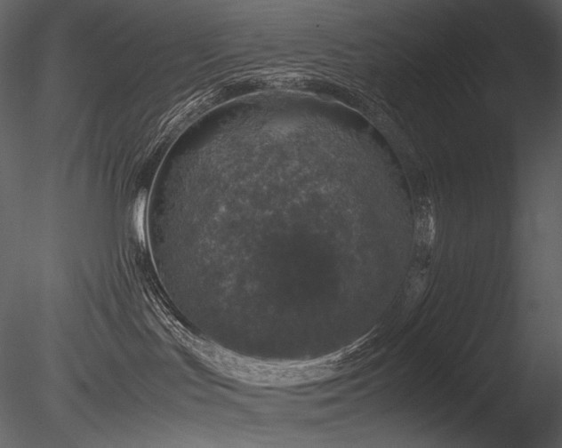 X0000085810047200703161207