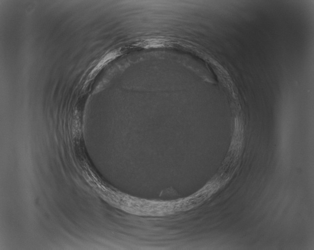 X0000085810048200703161207