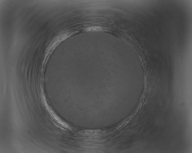 X0000085810049200703161207