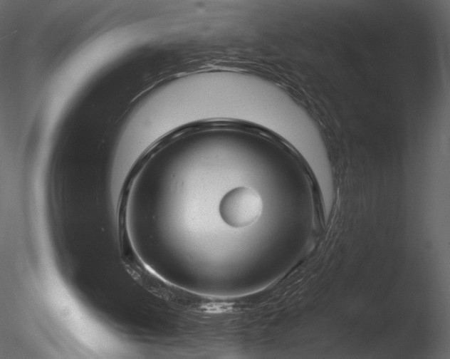 X0000085810052200703161207