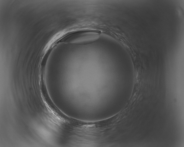 X0000085810054200703161207