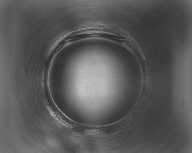 X0000085810058200703161207