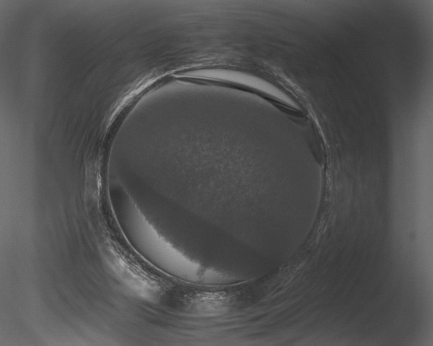 X0000085810059200703161207