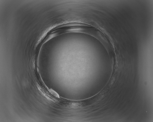 X0000085810060200703161207