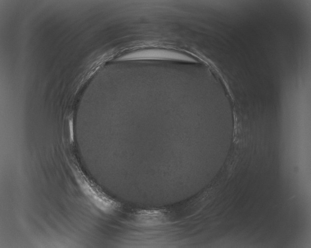 X0000085810061200703161207