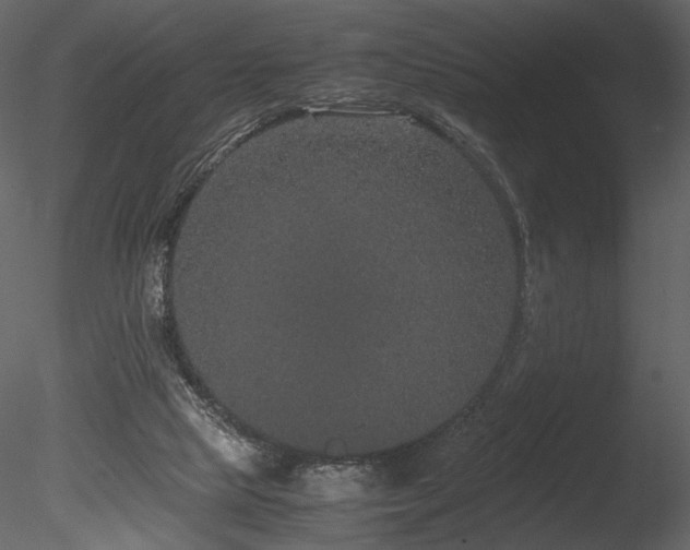 X0000085810065200703161207