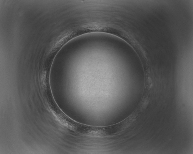 X0000085810066200703161207