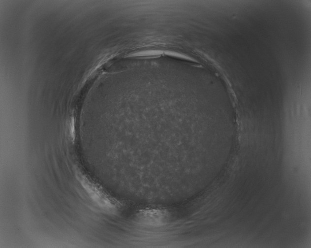 X0000085810067200703161207