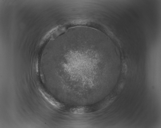 X0000085810068200703161207