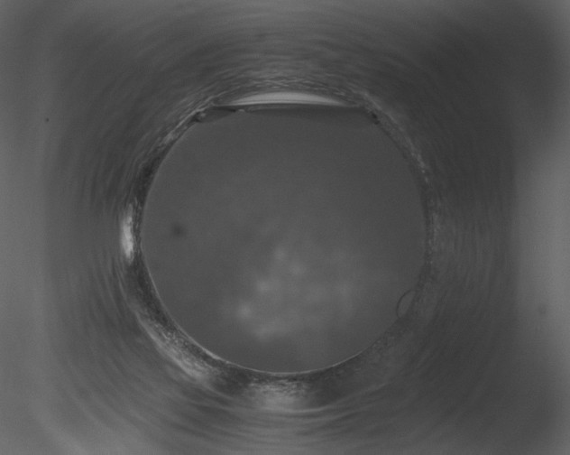 X0000085810069200703161207