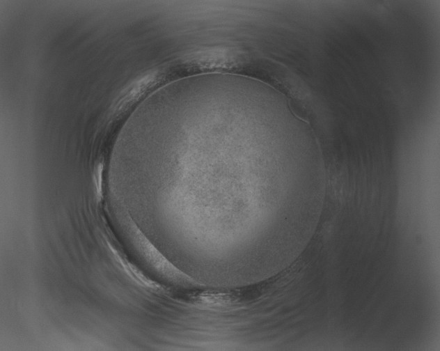 X0000085810070200703161207