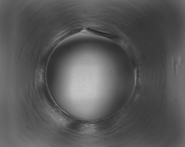 X0000085810071200703161207