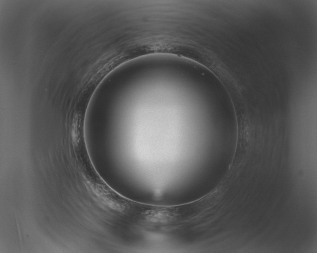 X0000085810074200703161207