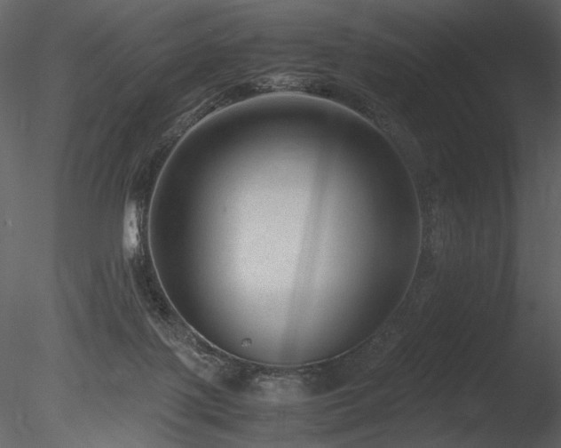 X0000085810075200703161207