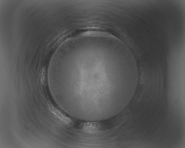 X0000085810077200703161207