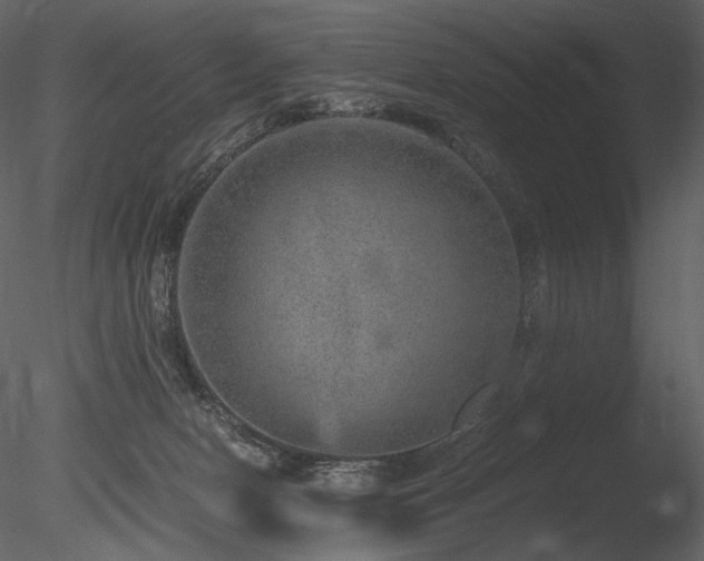 X0000085810078200703161207