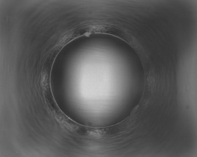 X0000085810079200703161207