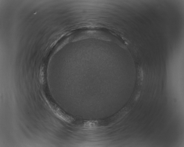 X0000085810080200703161207