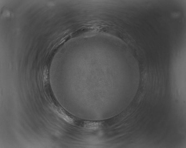 X0000085810081200703161207