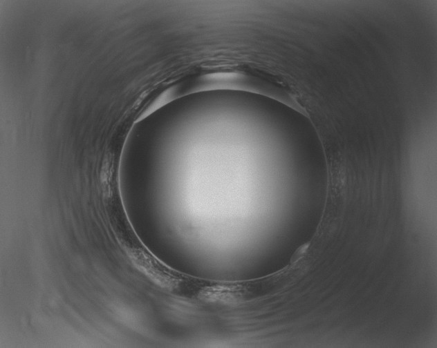 X0000085810082200703161207