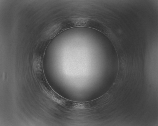 X0000085810083200703161207