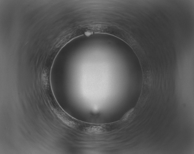 X0000085810086200703161207