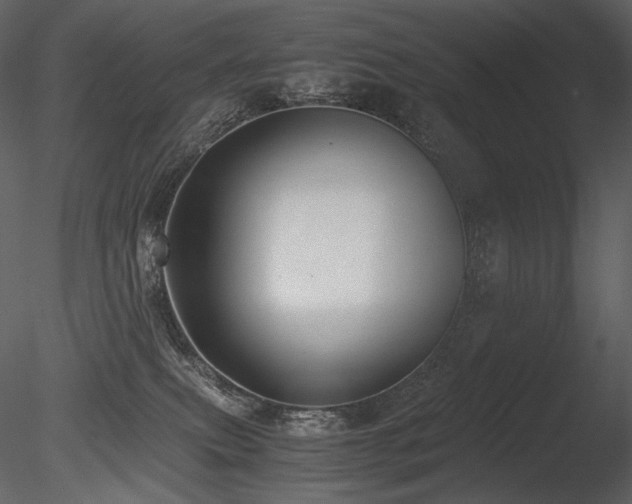 X0000085810087200703161207