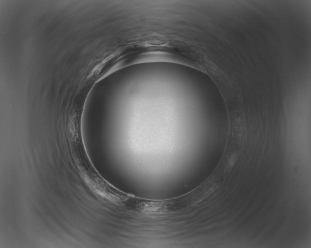 X0000085810088200703161207