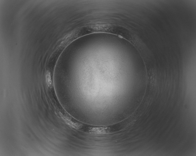 X0000085810089200703161207