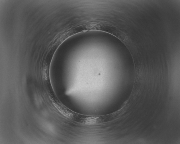 X0000085810090200703161207