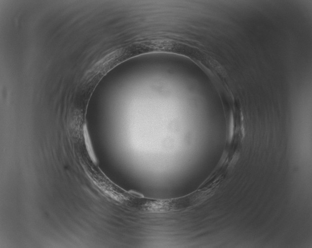 X0000085810092200703161207