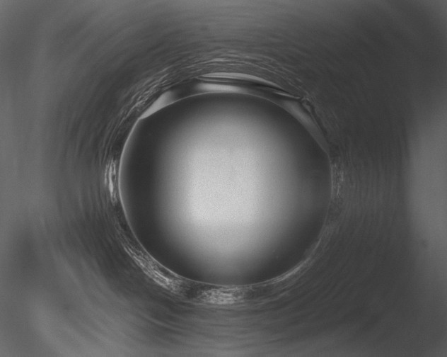 X0000085810094200703161207