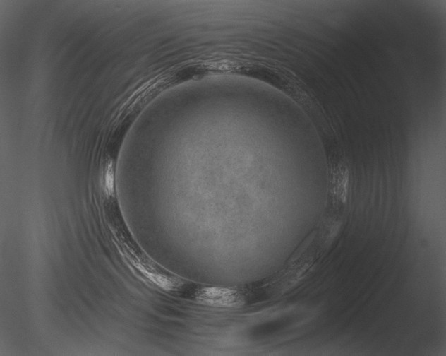 X0000085810095200703161207