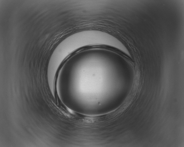 X0000085810096200703161207