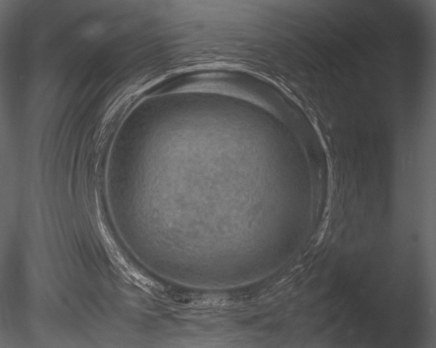 X0000085810097200703161207