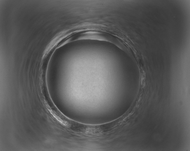 X0000085810101200703161206