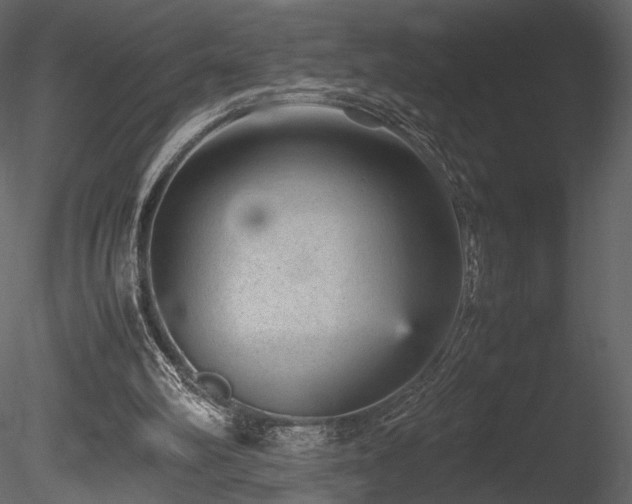 X0000085810102200703161206