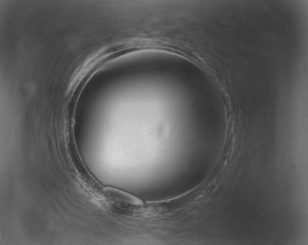 X0000085810103200703161206