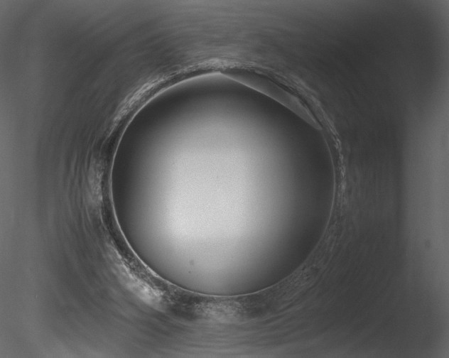 X0000085810106200703161206