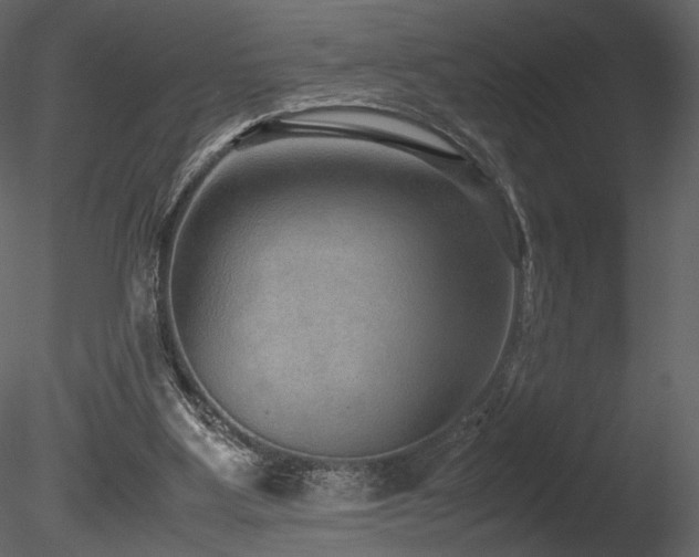 X0000085810107200703161206