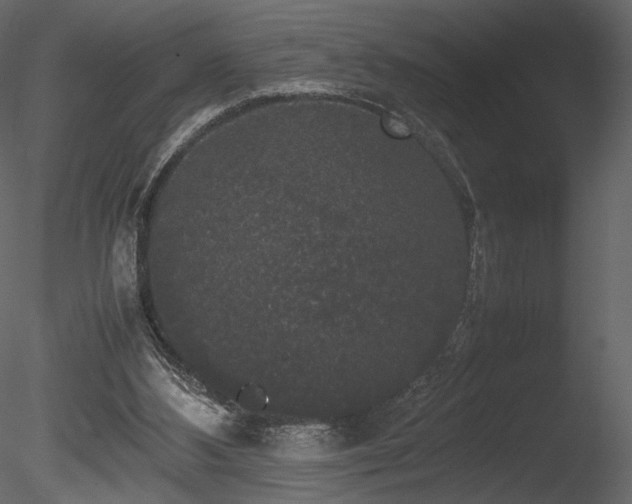 X0000085810108200703161206