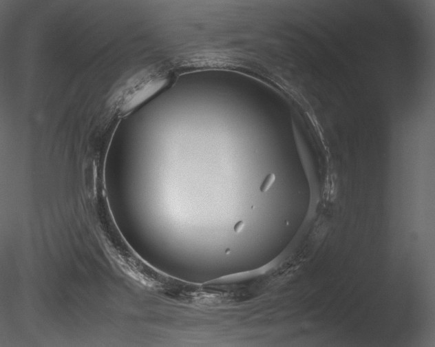 X0000085810109200703161206