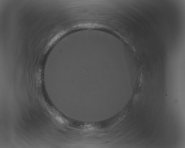 X0000085810111200703161206