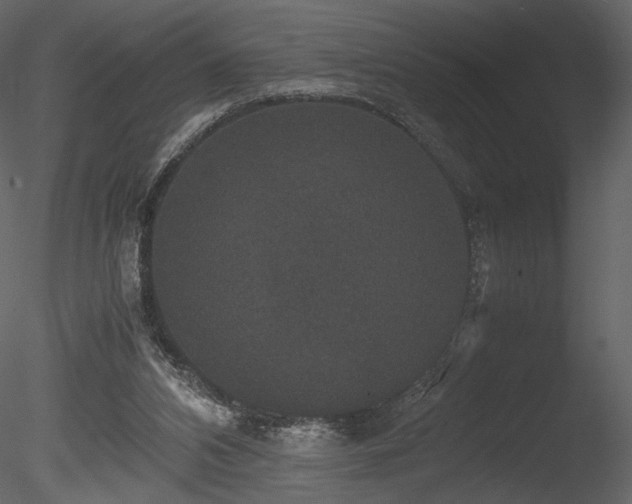 X0000085810112200703161206