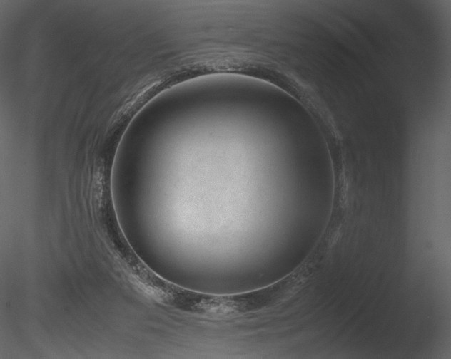 X0000085810113200703161206