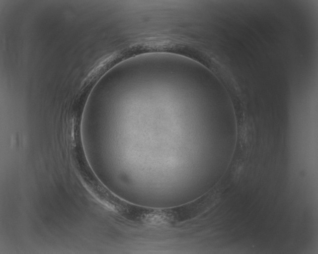 X0000085810115200703161206