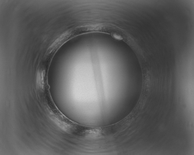 X0000085810118200703161206